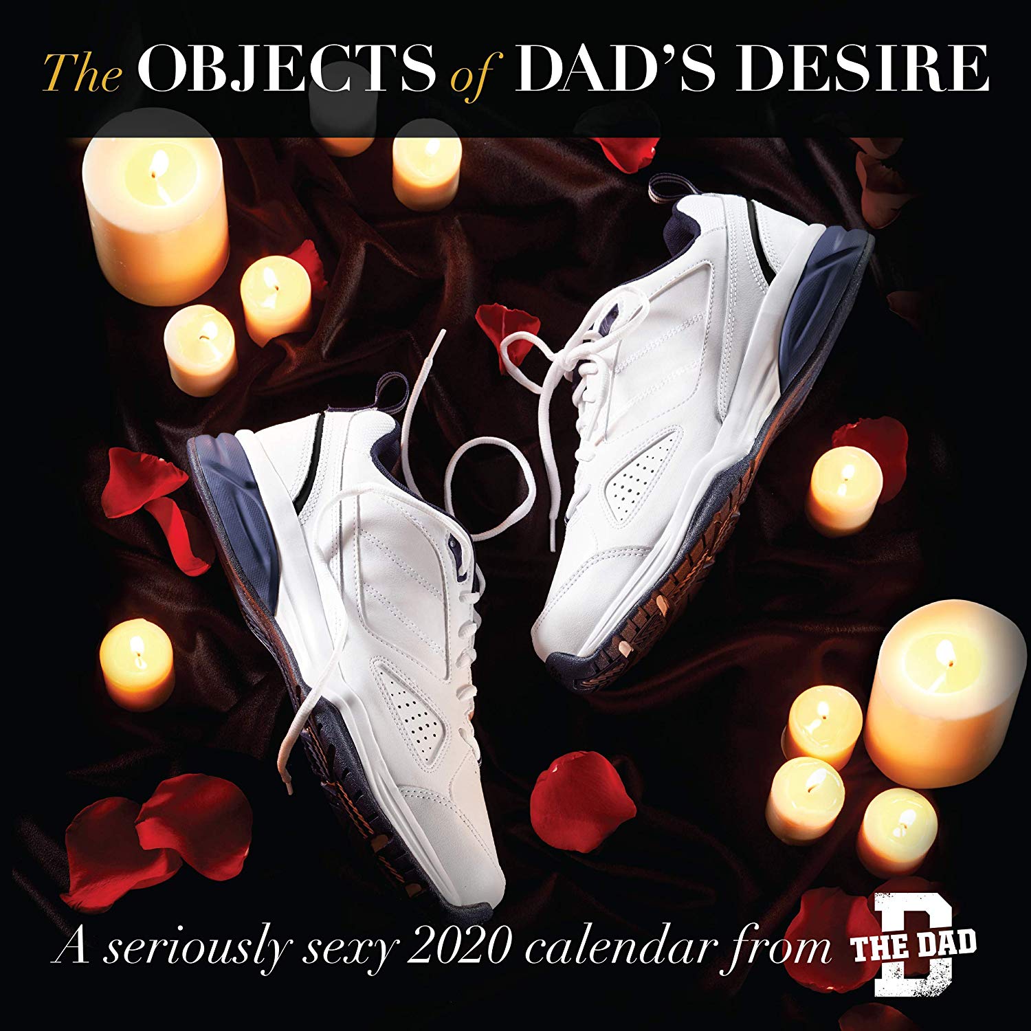Objects of Dad's Desire 2020 Wall Calendar