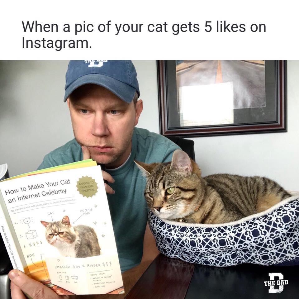 When a pic of your cat gets 5 likes on Instagram. "How to make your cat an internet celebrity" Joel Willis reading his cat that book.