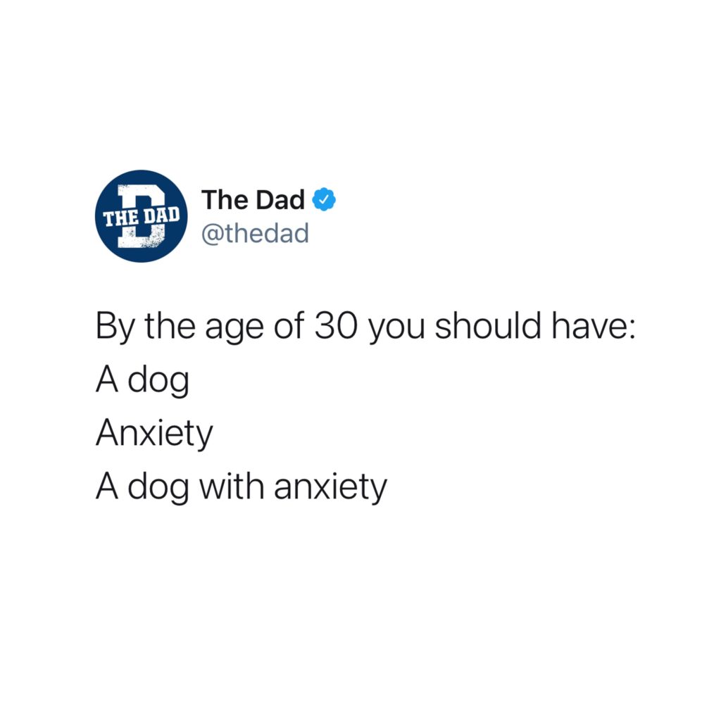 By the age of 30 you should have: A dog, Anxiety, A dog with anxiety. Tweet, aging, funny