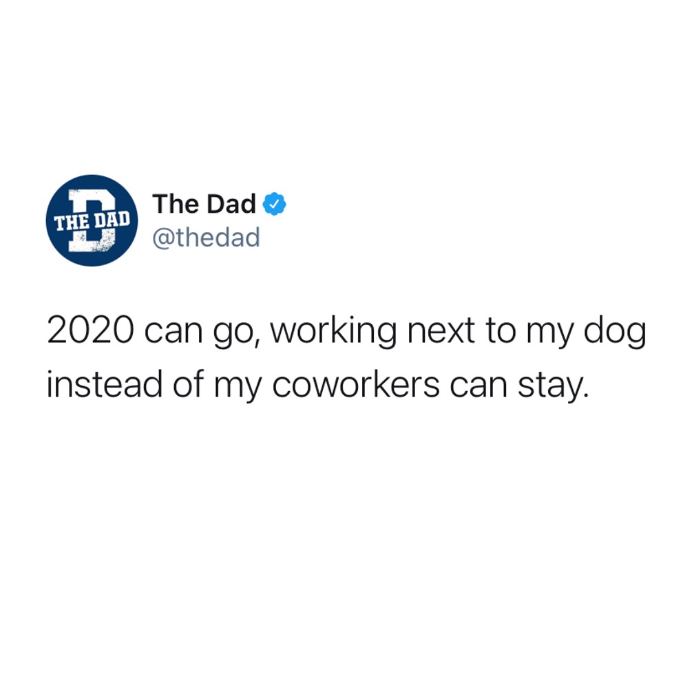 2020 can go, working next to my dog instead of my coworkers can stay. Tweet, animals, jobs