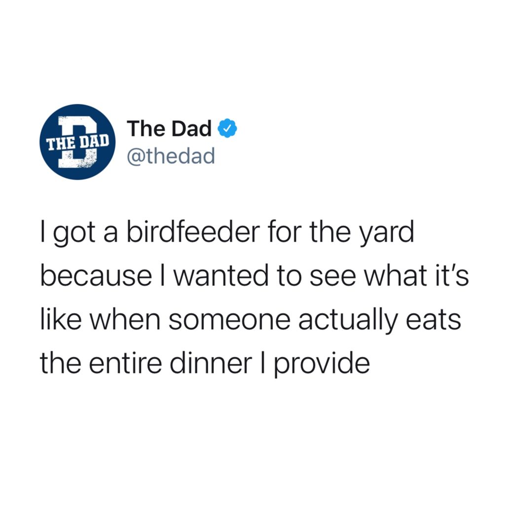 I got a birdfeeder for the yard because I want to see what it's like when someone actually eats the entire dinner I provide. Food, cooking, tweet, nature