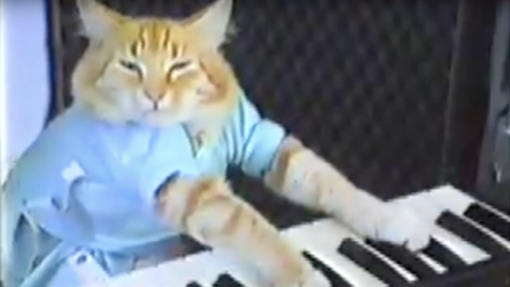 This Day In Internet History - November 2, 2010: Keyboard Cat Goes Mainstream