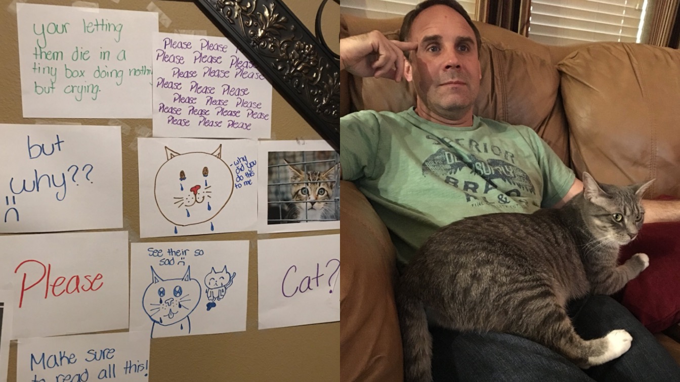 Teen Girl Guilts Dad Into Buying Her A Cat With 'Wall Of Sorrow'