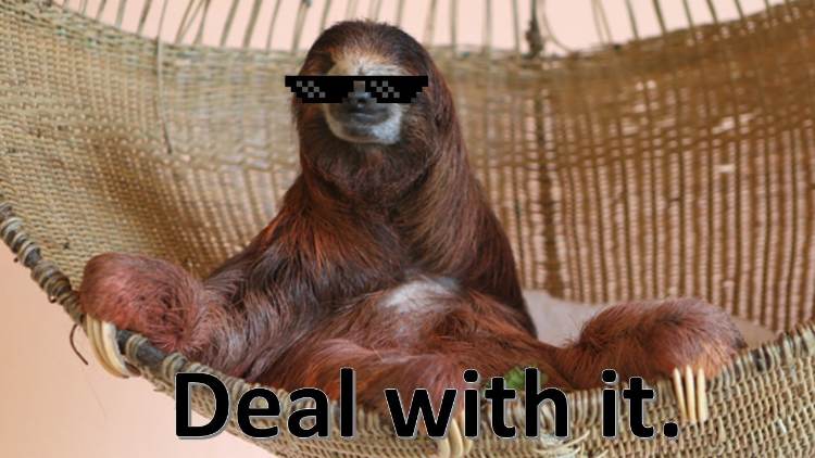 This Day In Internet History - Feb. 12, 2011: Deal With It