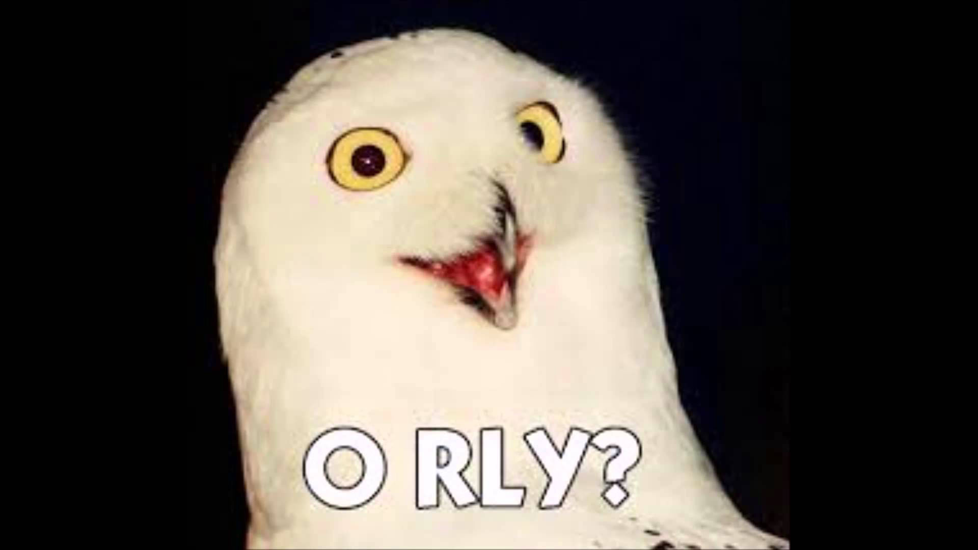 How To Draw An Owl Know Your Meme