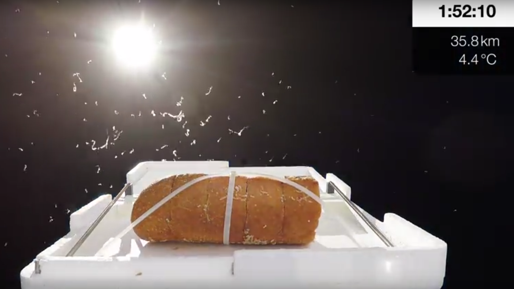 These Guys Sent Garlic Bread To Space And Then Ate It