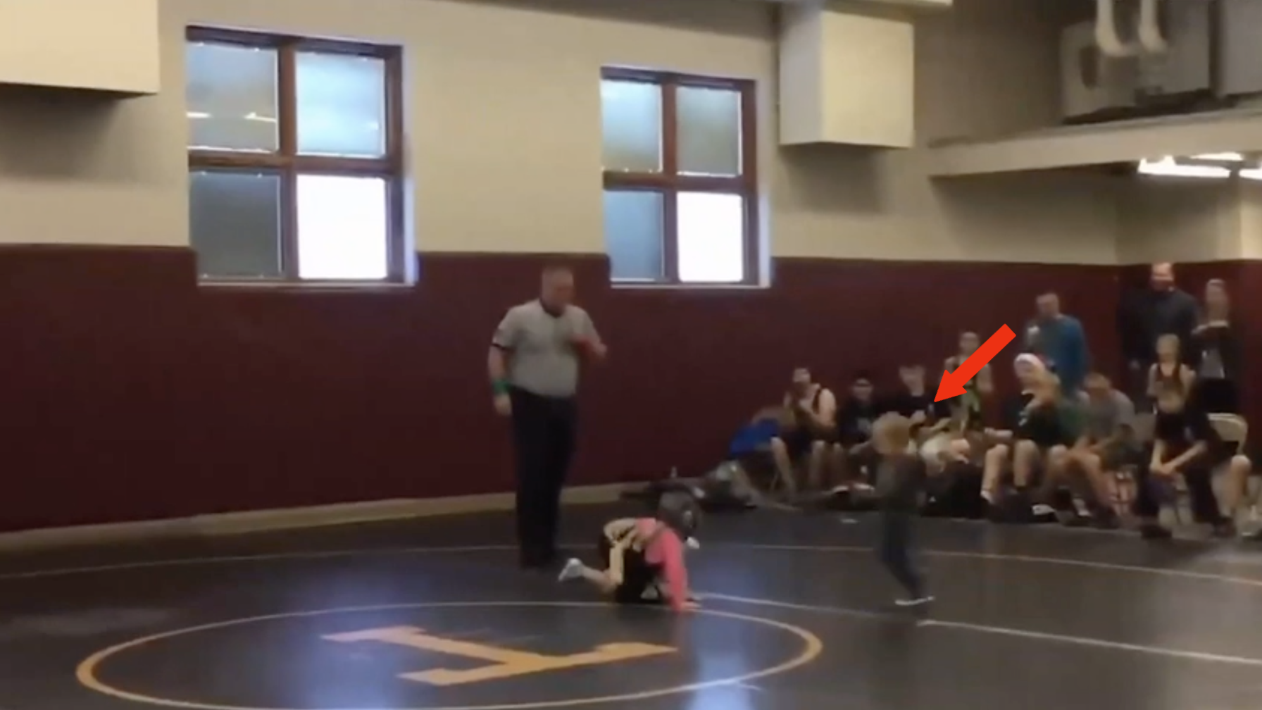 Heroic Little Boy Tries To Rescue Big Sister From Wrestling Opponent