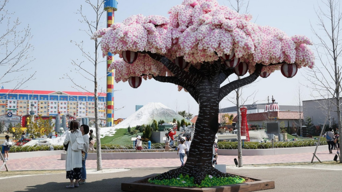 LegoLand Japan Sets New World Record With Life-Sized Cherry Blossom Tree