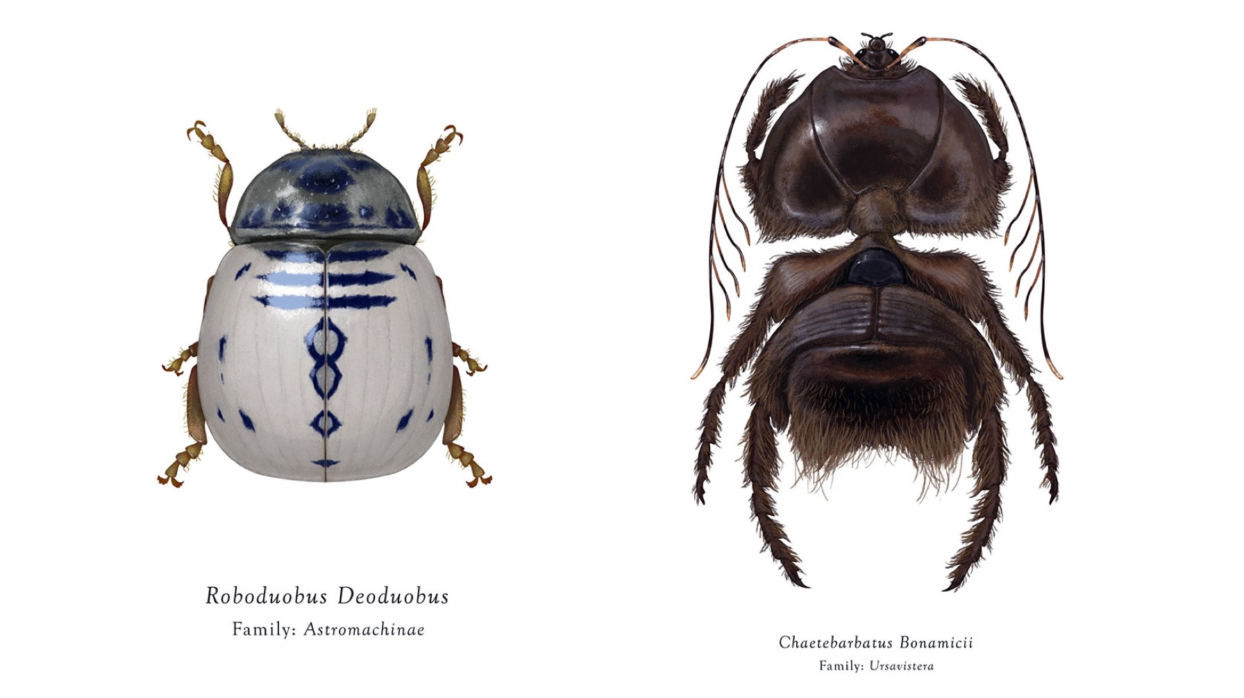 Artist Creates Incredible Star Wars Inspired Bugs