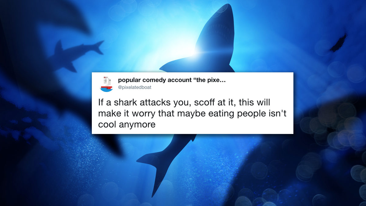 Tweet Roundup: The 10 Funniest Tweets About Sharks