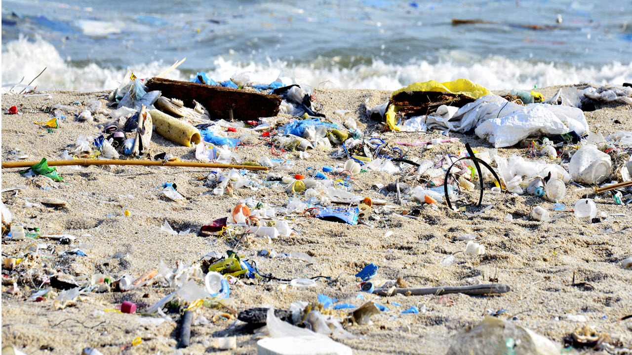 Dad and Kids Scrap Photo Session to Clean Beach