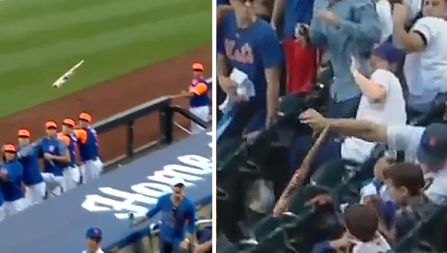 Dad's Reflexes Save Sons From Flying Baseball Bat