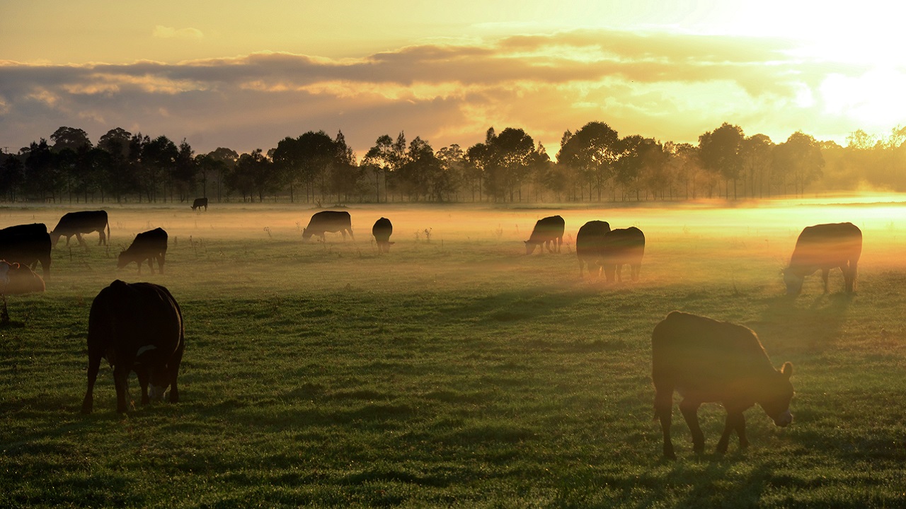 Father-Daughter Duo Donates Entire $44 Million Ranch to University