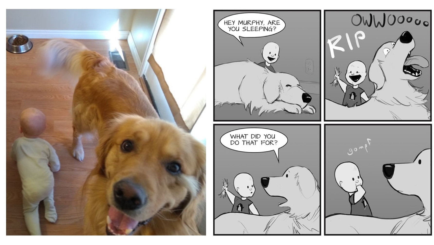 Dad Bases Cute Comic Series on Baby Son and Family Dog