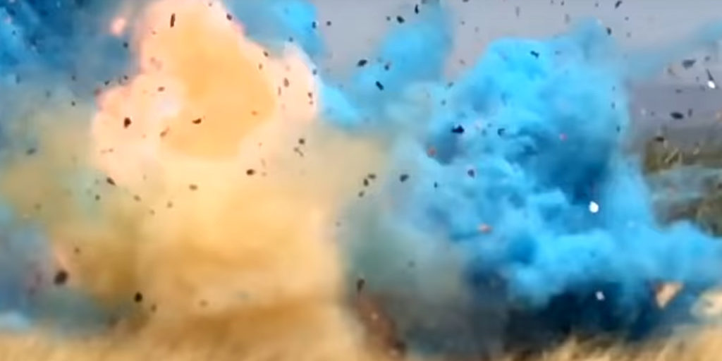 Gender Reveal Party Causes Wildfire and $8 Million in Damages