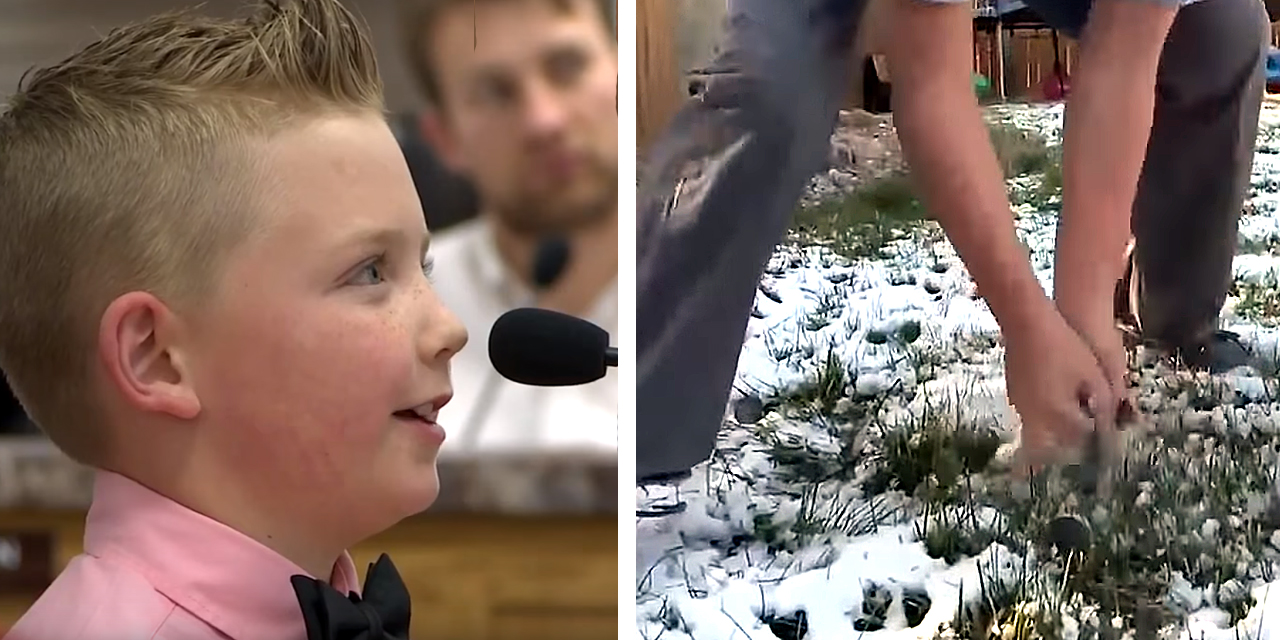 Hero 9-Year-Old Gets Town to Repeal Age-Old Ban on Snowball Fights