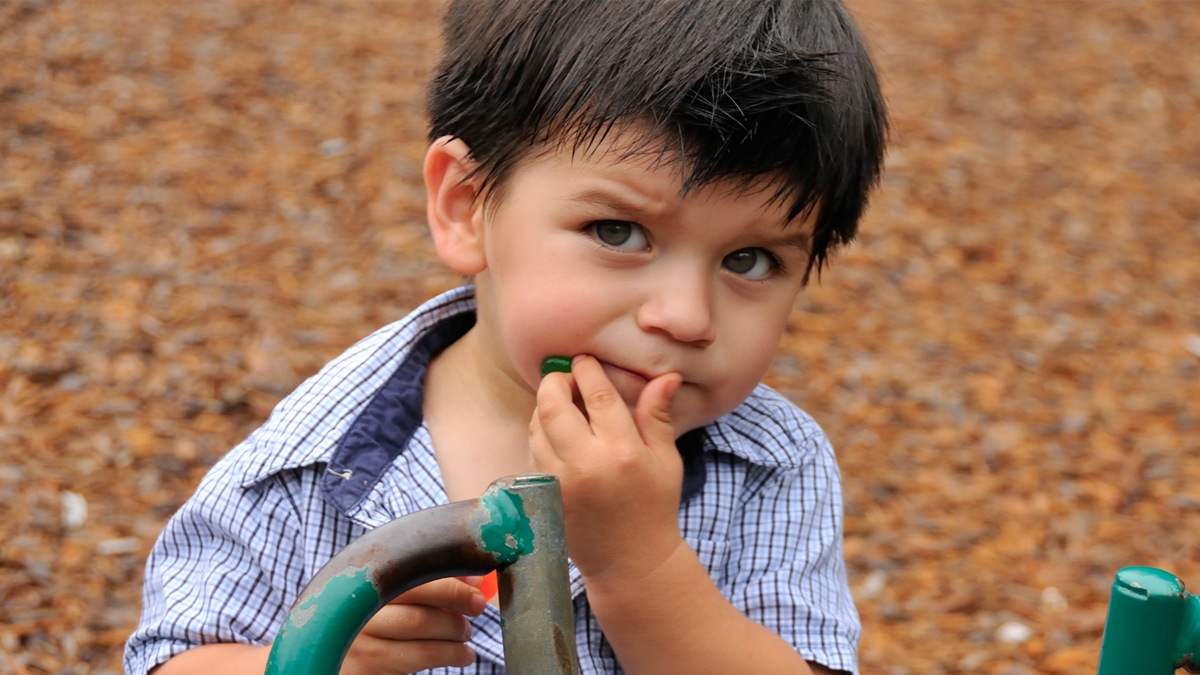 Brussels Sprouts Inedible, Reports Kid Who Just Ate Woodchips at Park