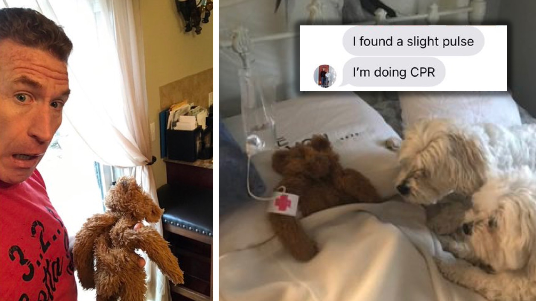 Dad Goes Viral After Nursing Dog's Toy Back to Life