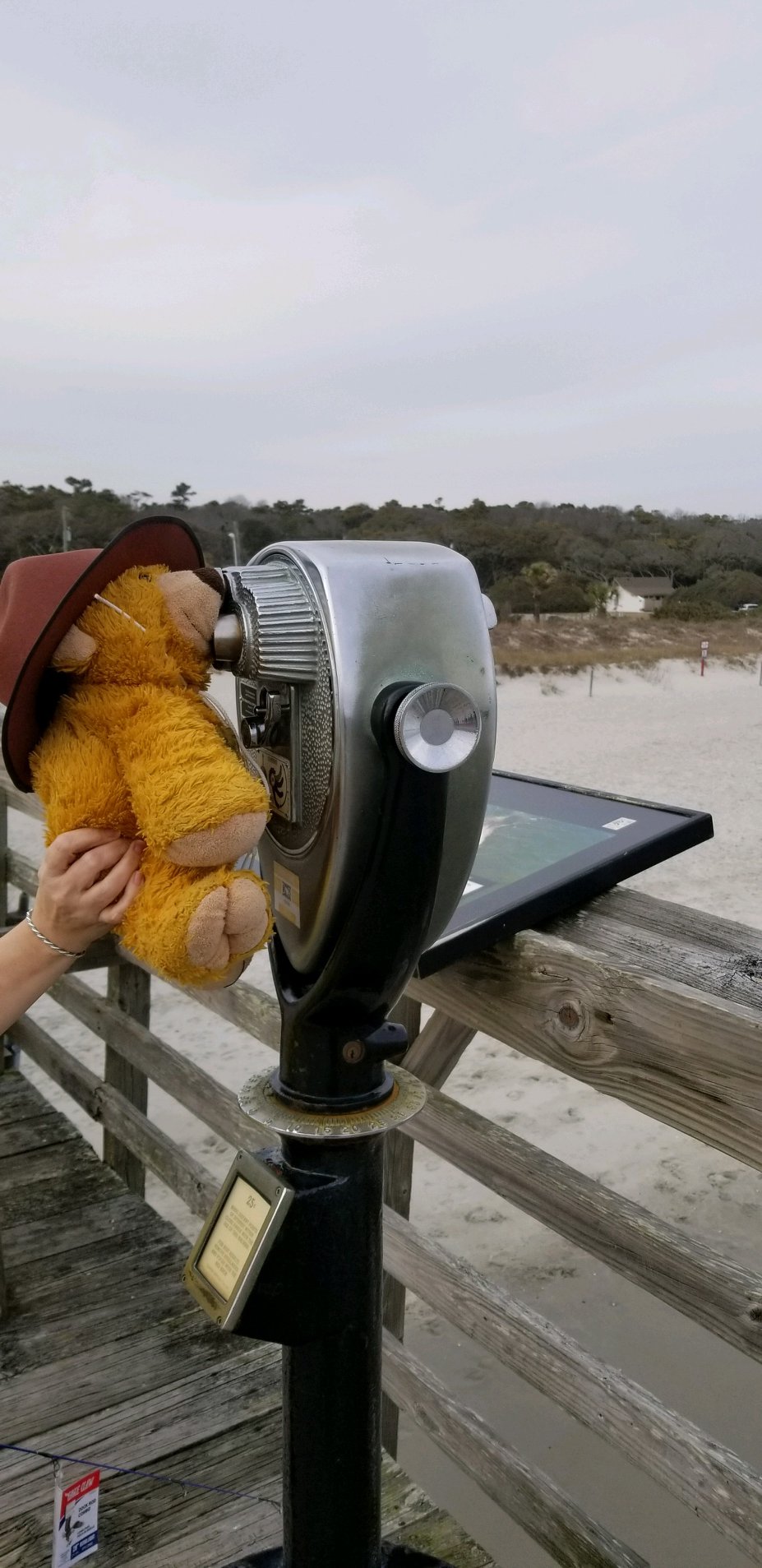 Bear Binoculars