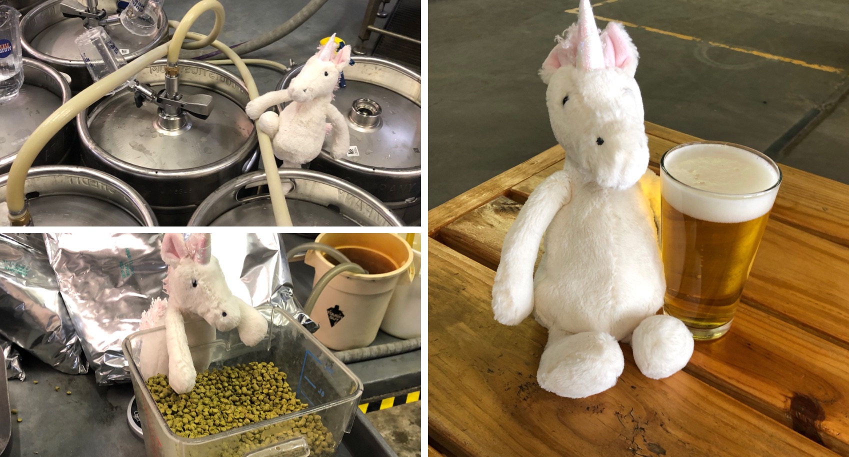 Brewery Puts Lost Unicorn Stuffy to Work in Hopes of Getting Him Home