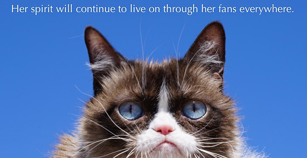 Grumpy Cat is Dead