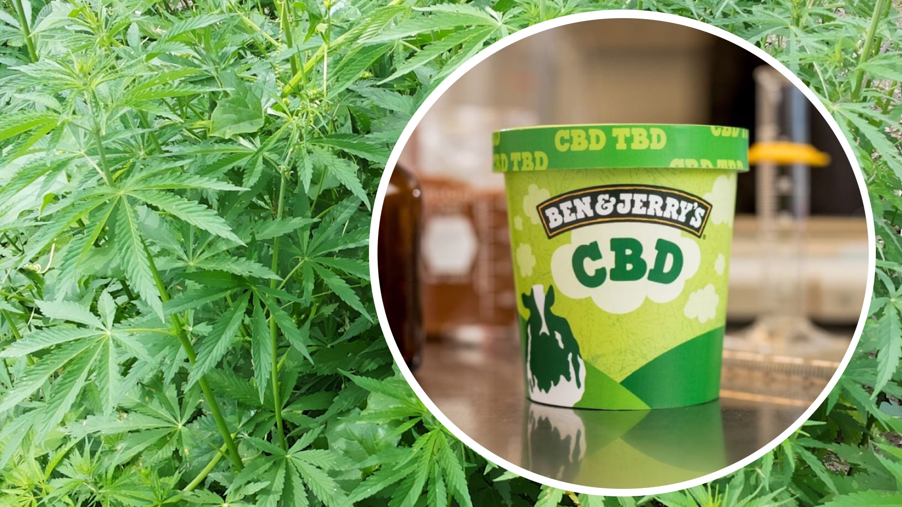 Ben & Jerry's Is Teasing Us With CBD Ice Cream