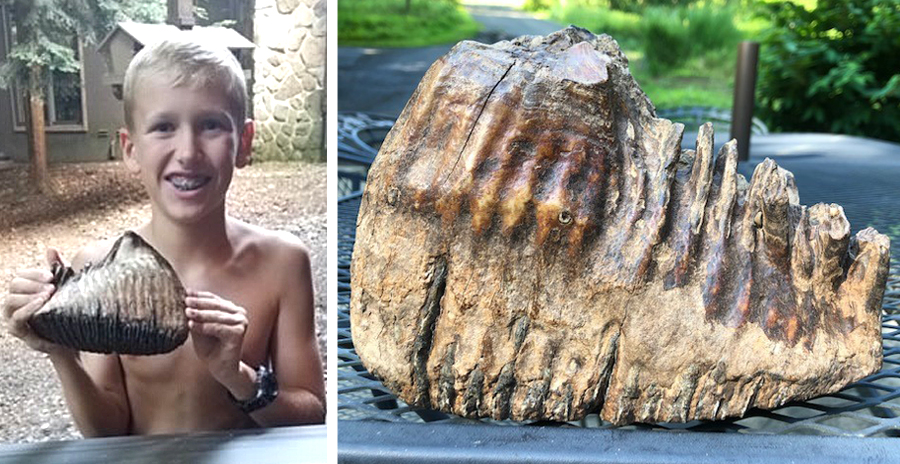 Jackson Hepner with Woolly Mammoth Tooth