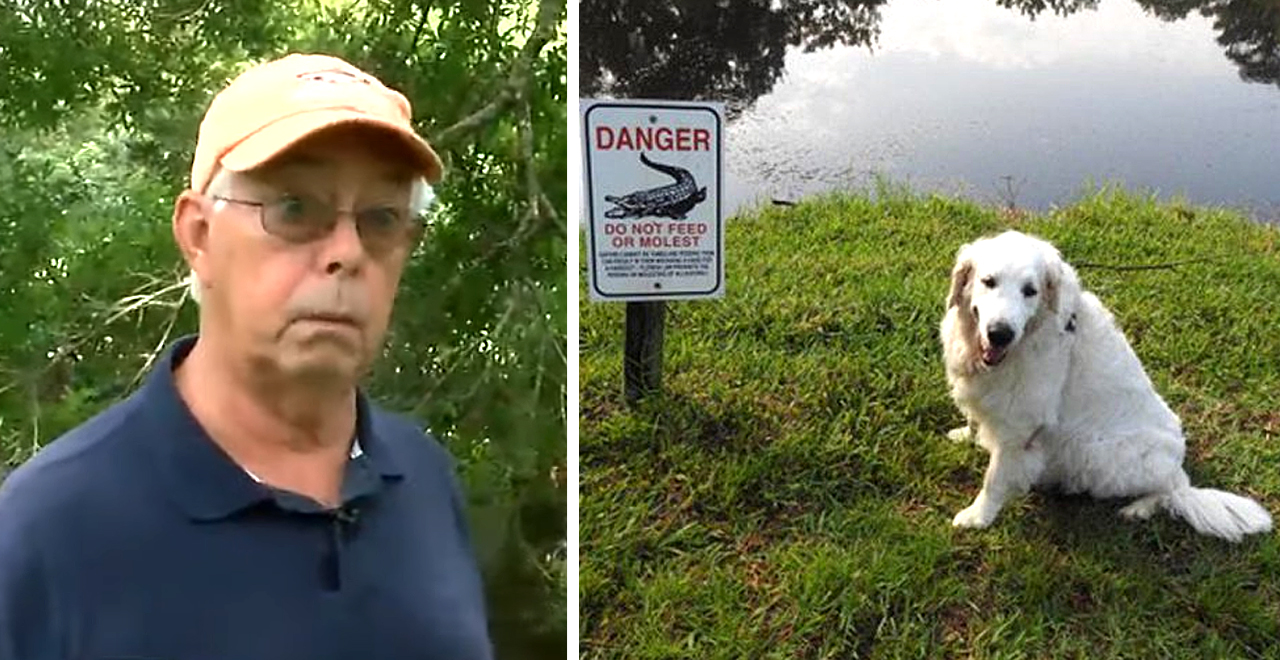 Buddy Ackerman Battles Gator