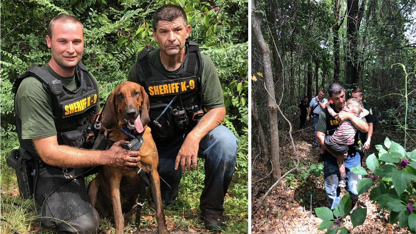 Santa Rosa County Sheriff's Bloodhound