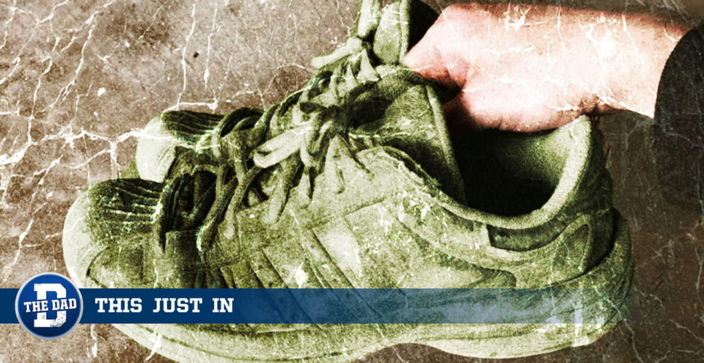 comfortable lawn mowing shoes