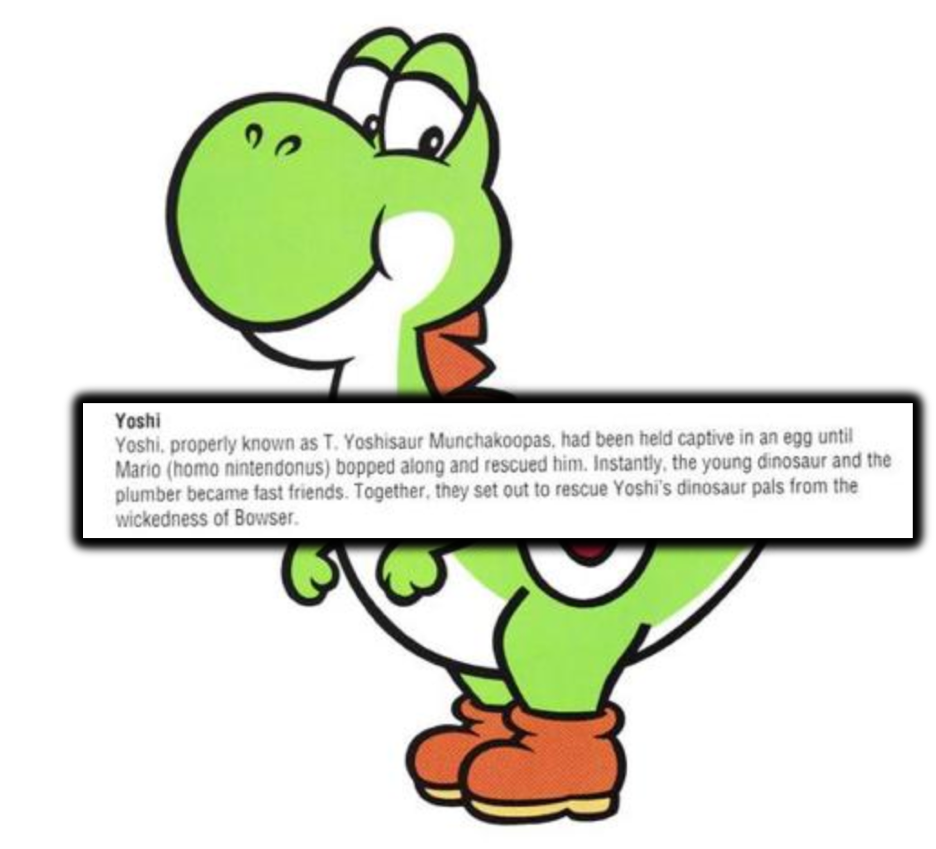 Super Mario World: Crazy Things You Had No Idea About