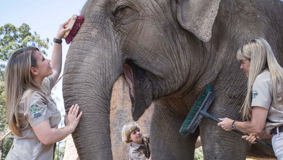 Terri, Bindi and Robert Irwin with Elephant