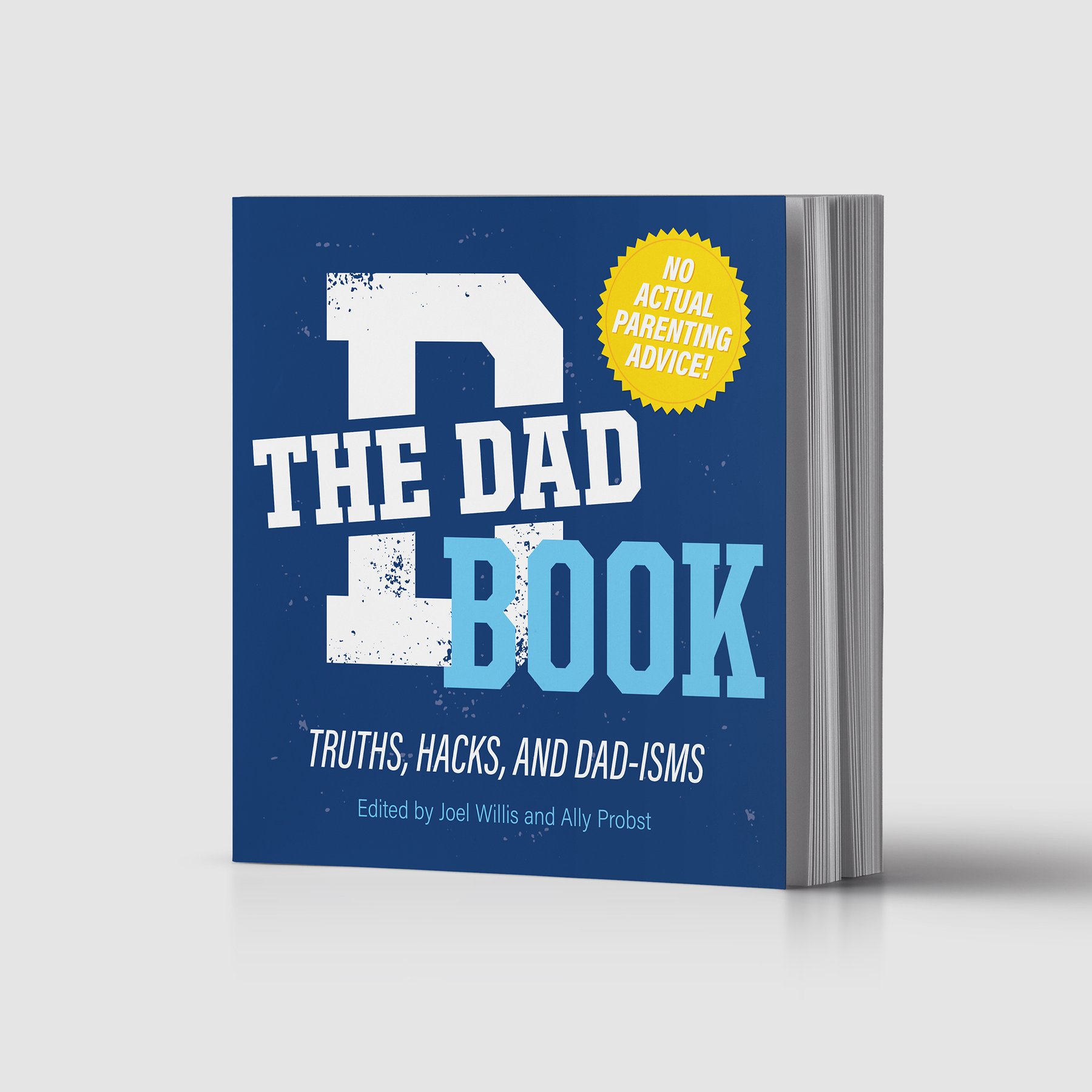 The Dad Book