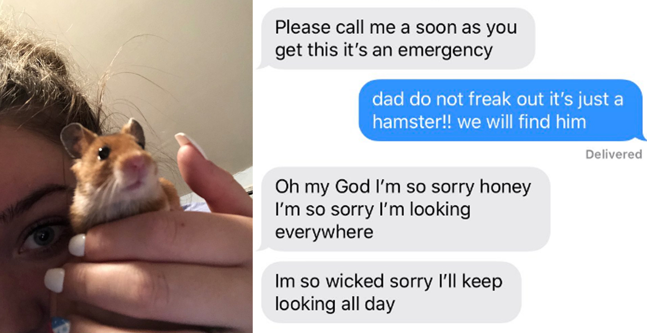 Dad Loses Daughter's Hamster