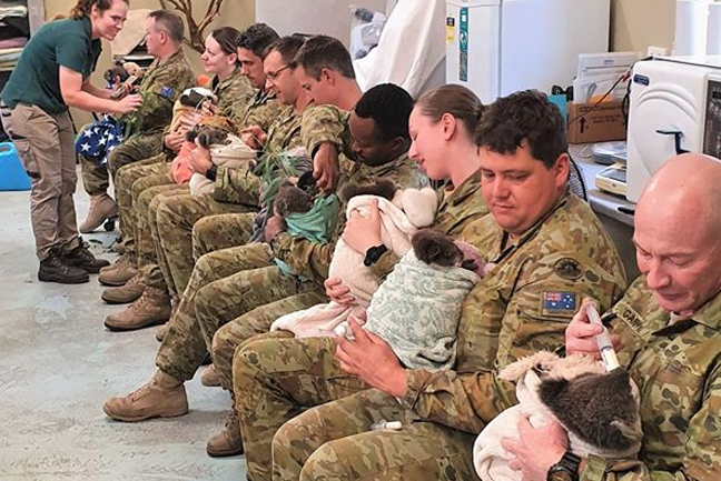 Aussie Soldiers Feed Koalas