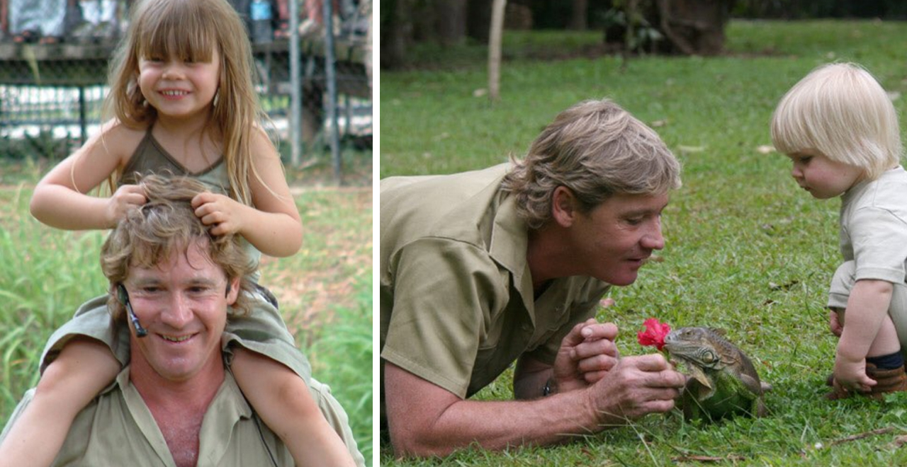 Tribute to Steve Irwin