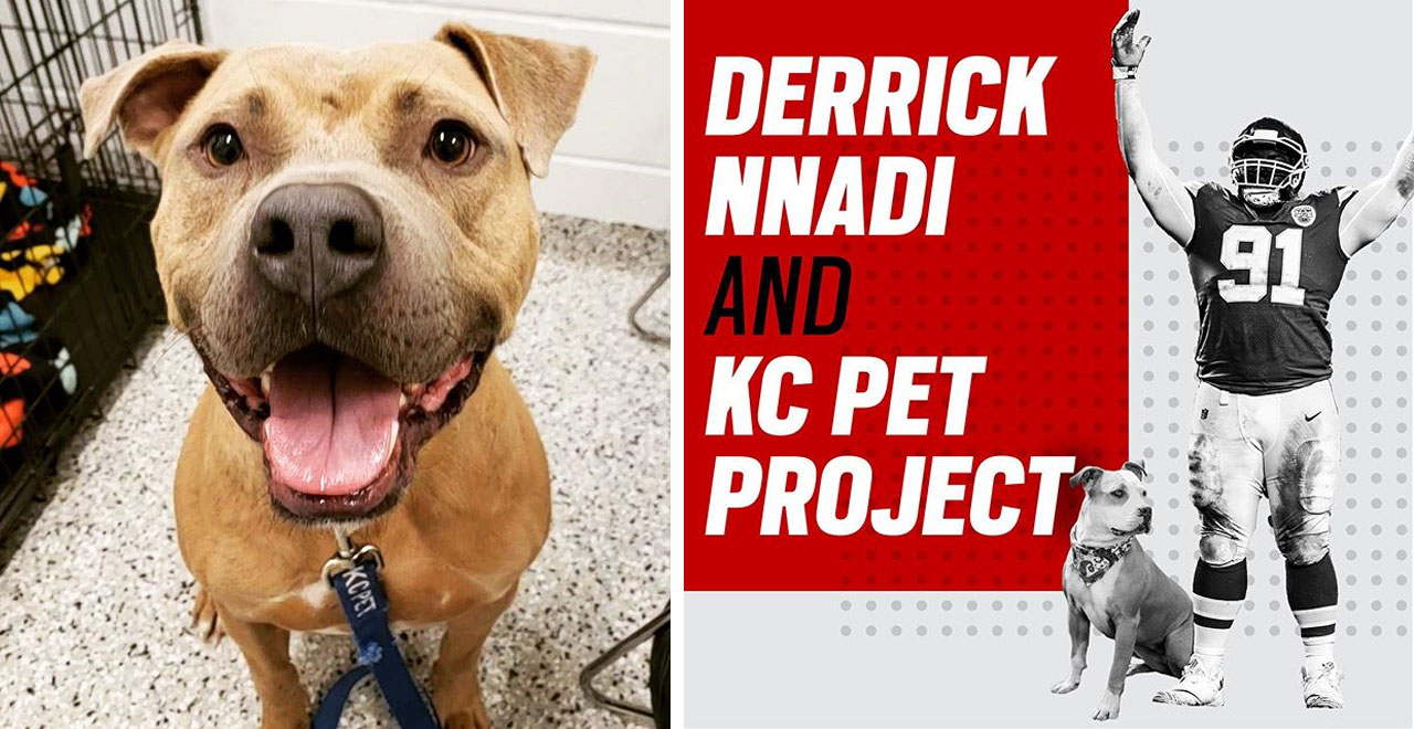 Derrick Nnadi donates adoption fees for shelter dogs