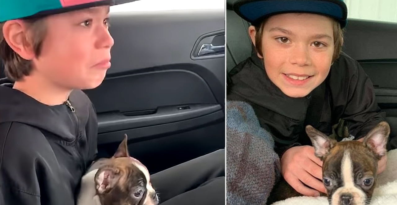 Logan Gets Dog From Late Dad