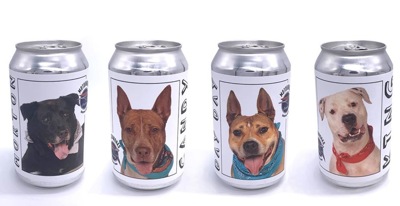 Dog on Beer Can Reunited With Owner