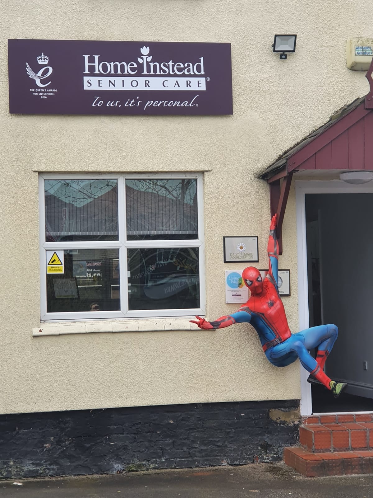 spiderman hanging