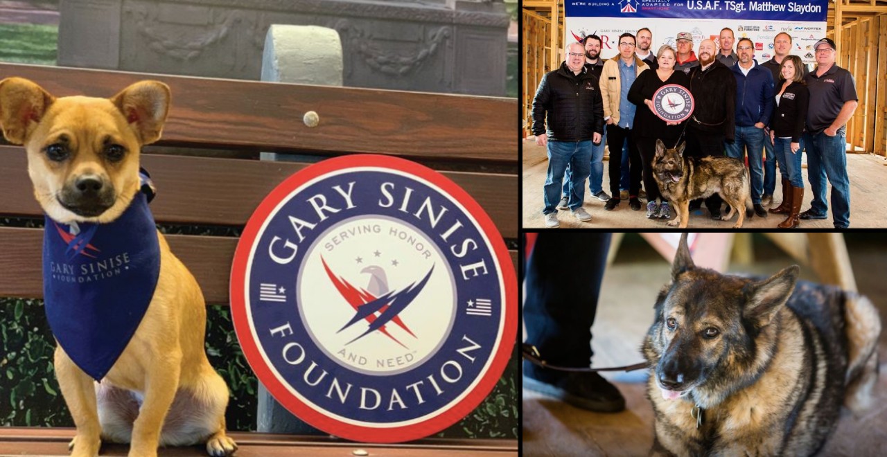 Gary Sinise’s “Vets for Valor” Program Provides Medical Care to Canine Heroes