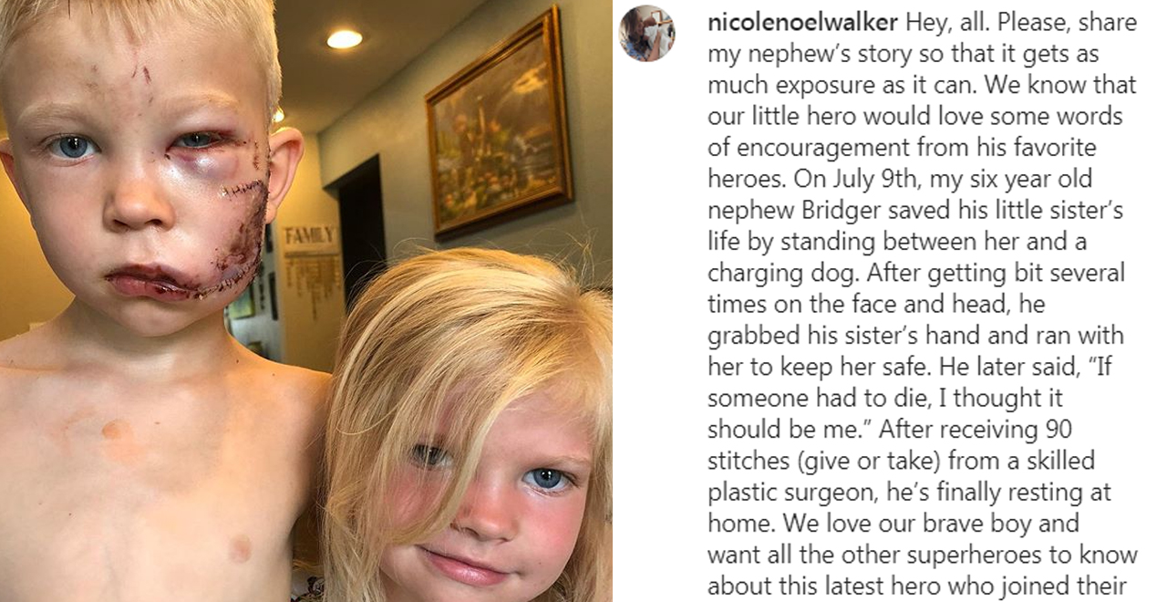 6-Year-Old Hero Saves Sister From Dog