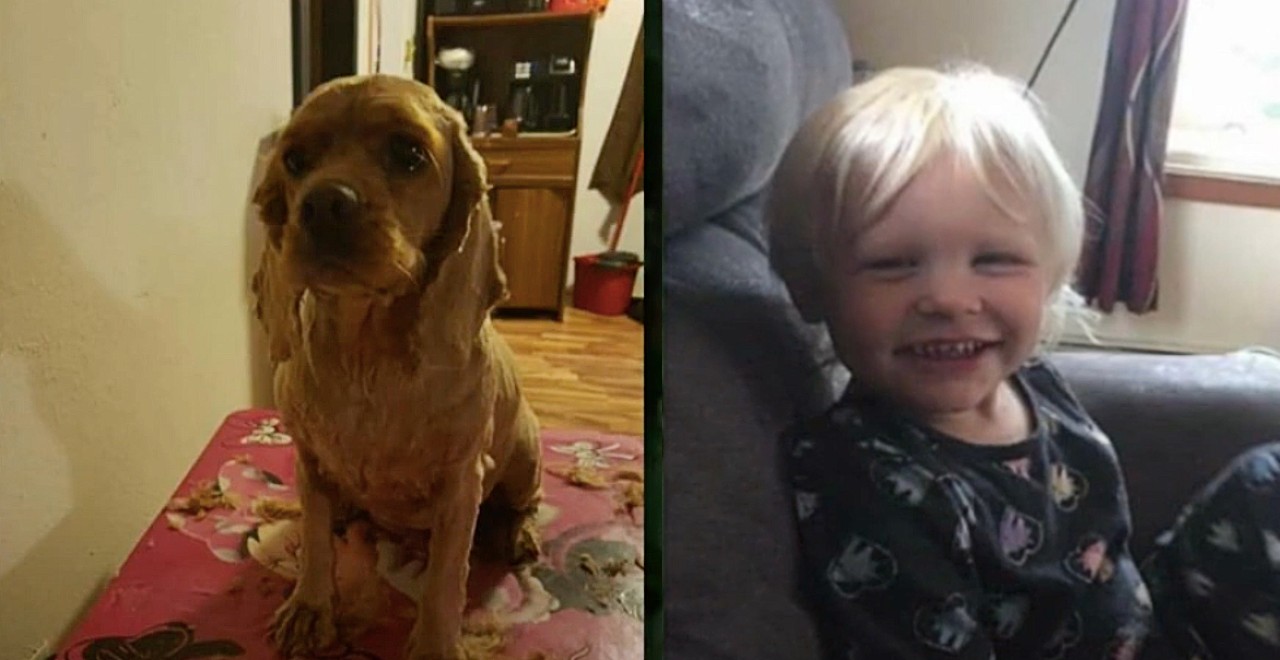 Missing 3-year-old found with dog