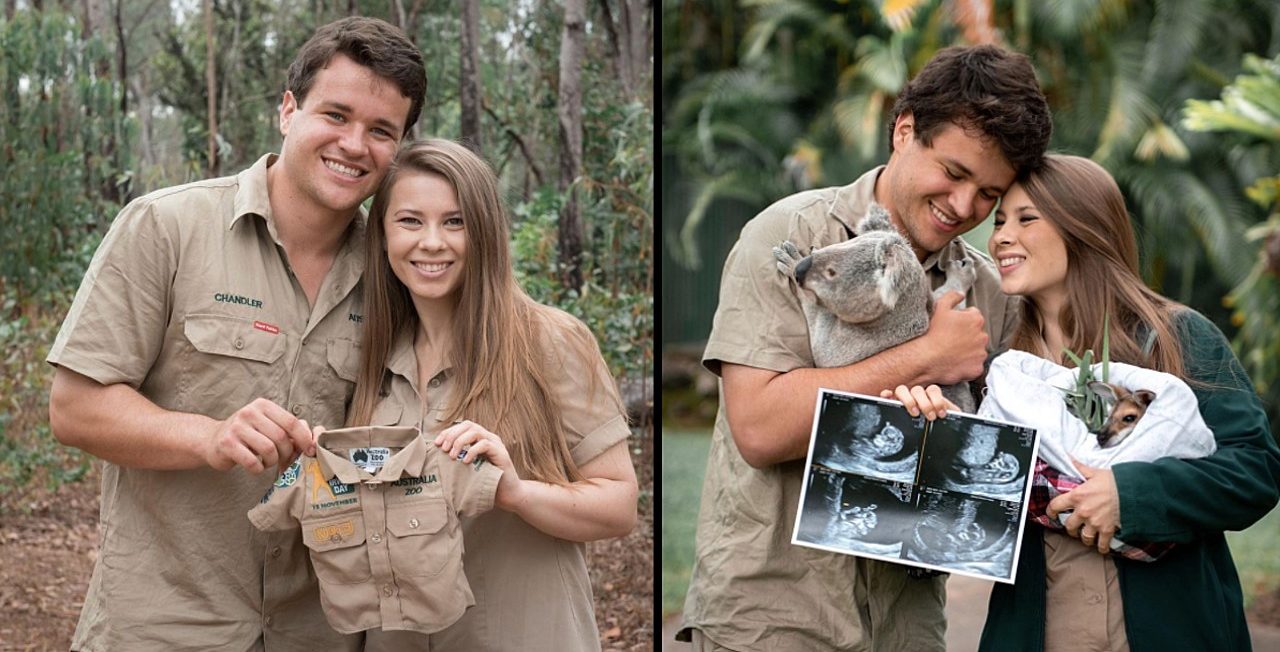 Bindi Irwin Pregnancy Update