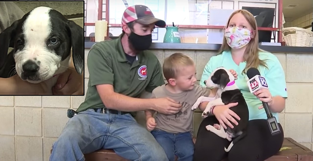 2-Year-Old With Cleft Lip Adopts Puppy with Cleft Lip