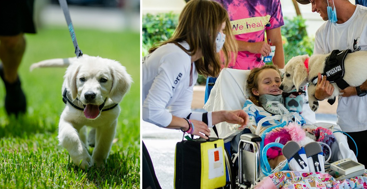 Paralyzed Girl Meets Future Service Dog