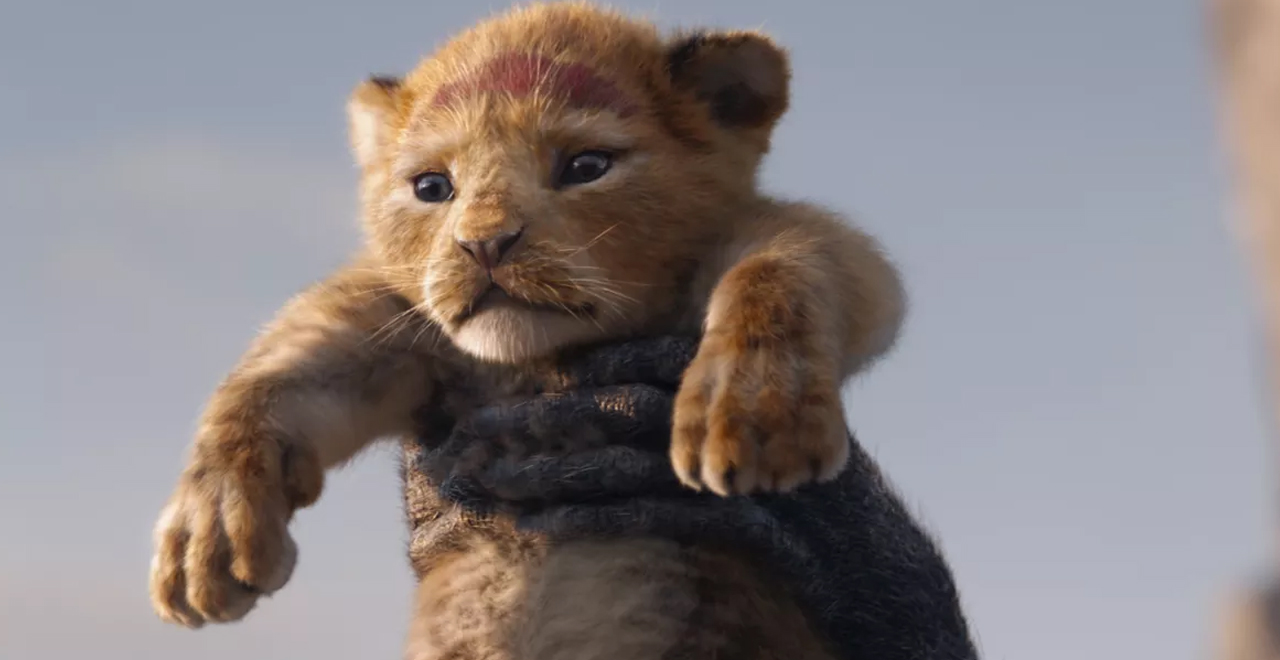 Lion King Live-Action Sequel