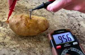 Potato Doom