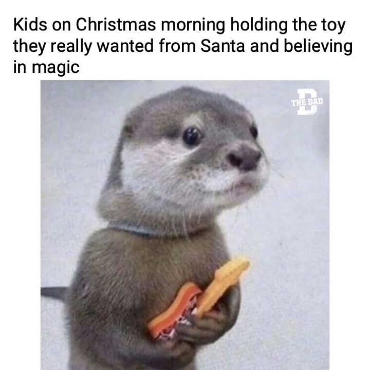 kids holding a toy on christmas they believe is magaically from santa