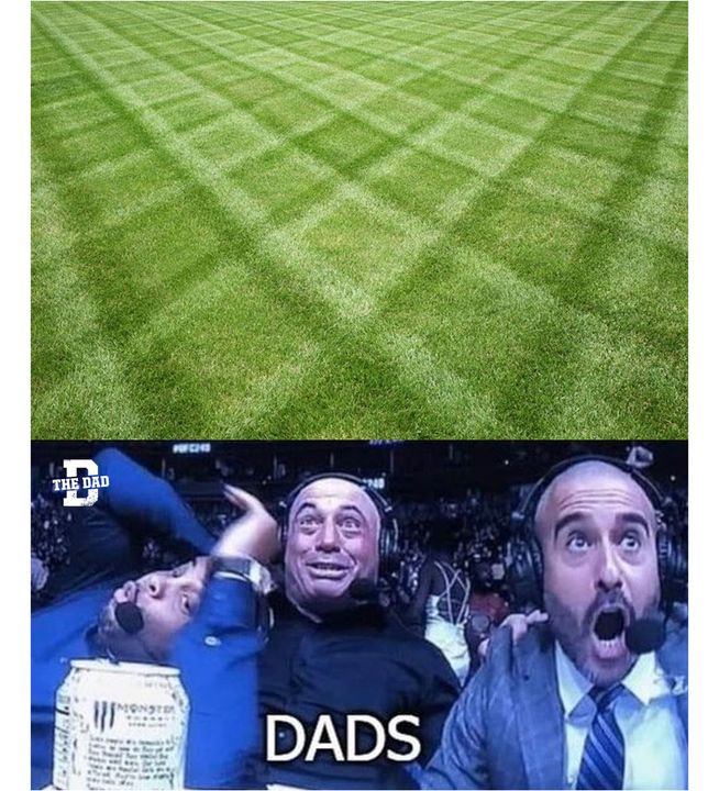 dads reacting to perfect lines in grass